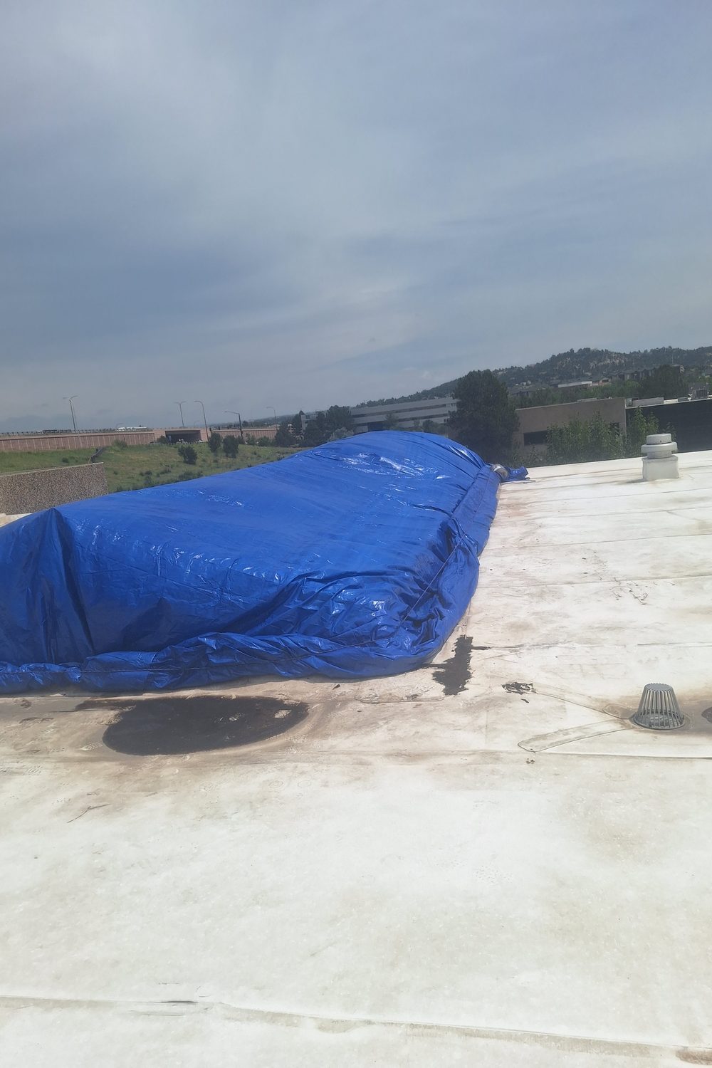Stain Removal